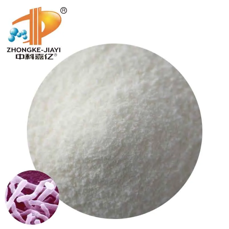 Bifidobacterium Adolescentis Probiotics Powder Solid Beverage