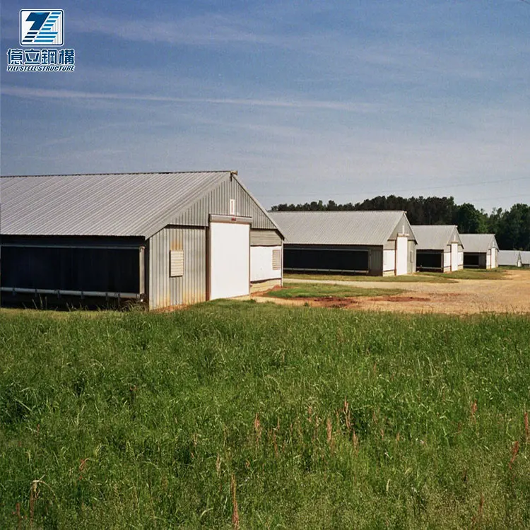 Сборный вентилируемый Оцинкованный Металлический Стальной конструктор для курицы