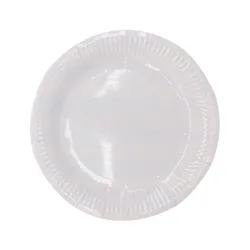 Wholesale Stocked Single Color Disposable Paper Party Plate Factory For Birthday Thanksgiving 250 Gsm DIY Paper Plates