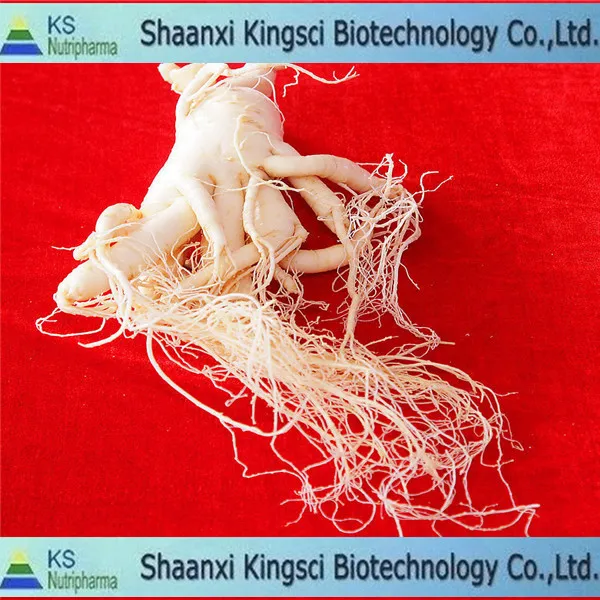 
The lowest price for top grade medicinal plants herbs 