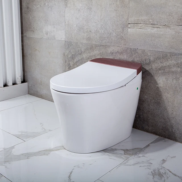 One piece smart sensor automatic toilet flusher