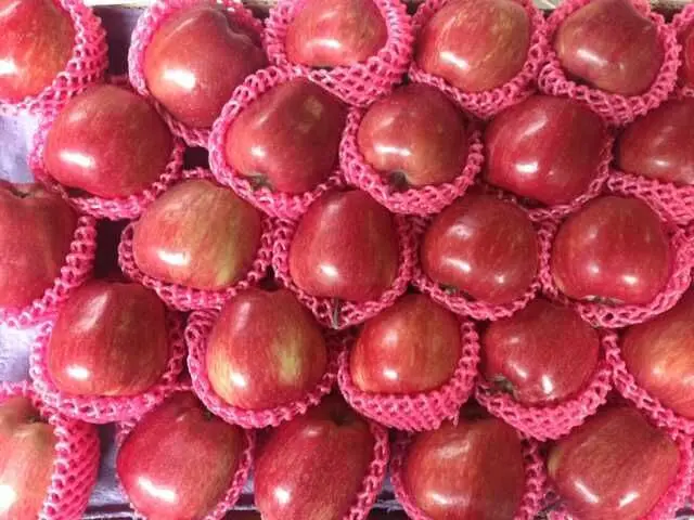 Chinese fresh fruits red delicious fuji apples