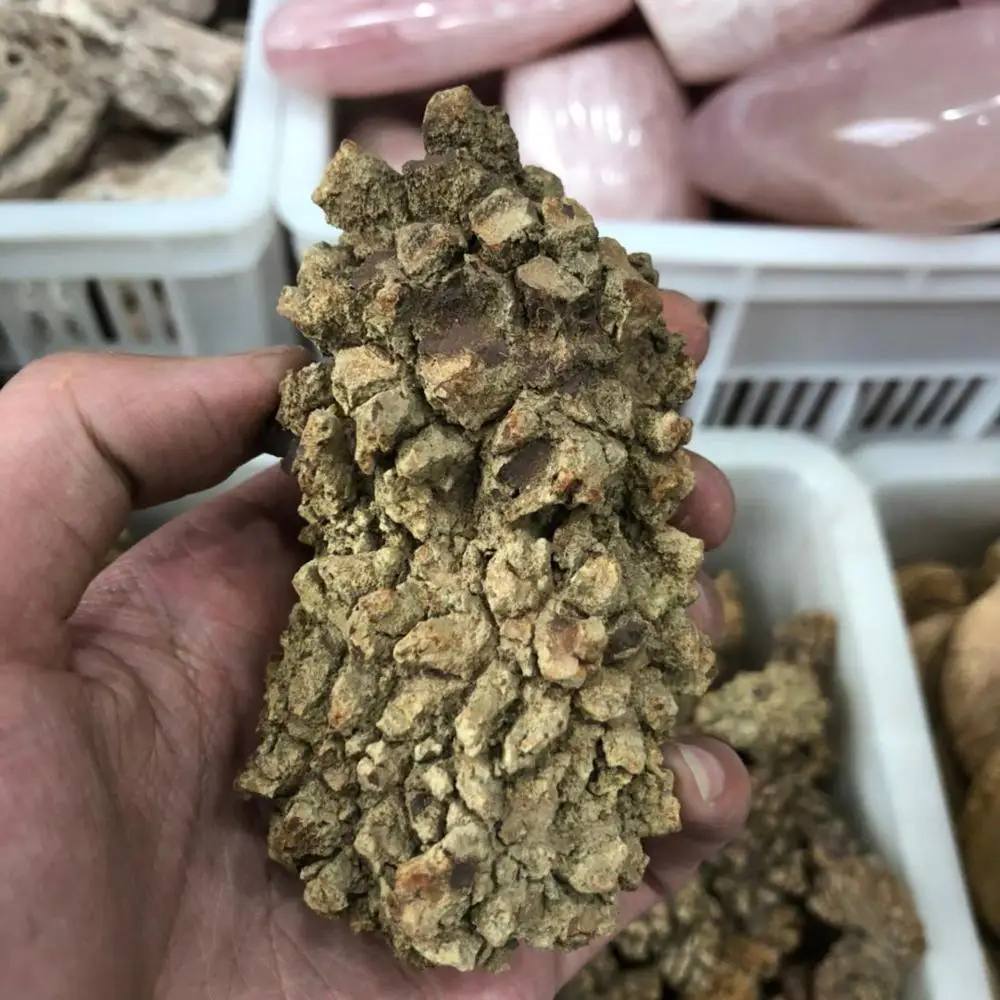 Natural Monazite Specimen Dinosaur Faeces Fossil Stone Rare Earth Minerals Dinosaur Excrement Fossil