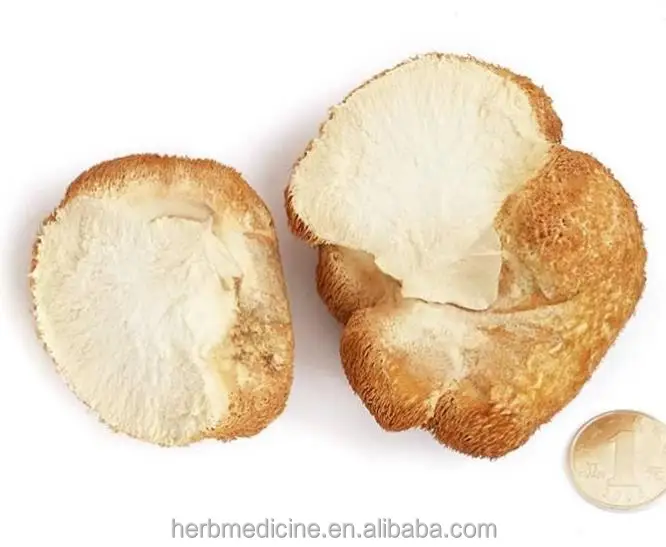 
Health fungus lions mane mushroom natural dried for sale 