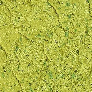 
Порошковое покрытие с эффектом морщин Полиуретановое порошковое покрытие