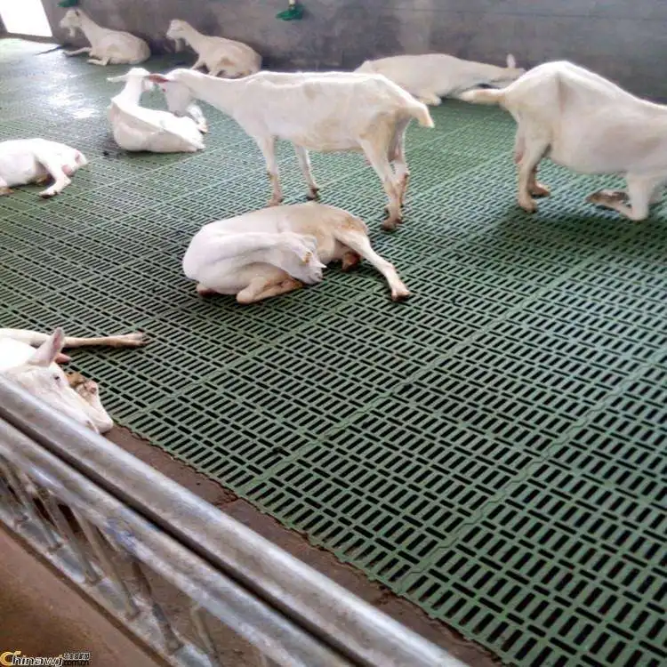 2021 hot sale good quality sheep goat slat floor goat farm equipment