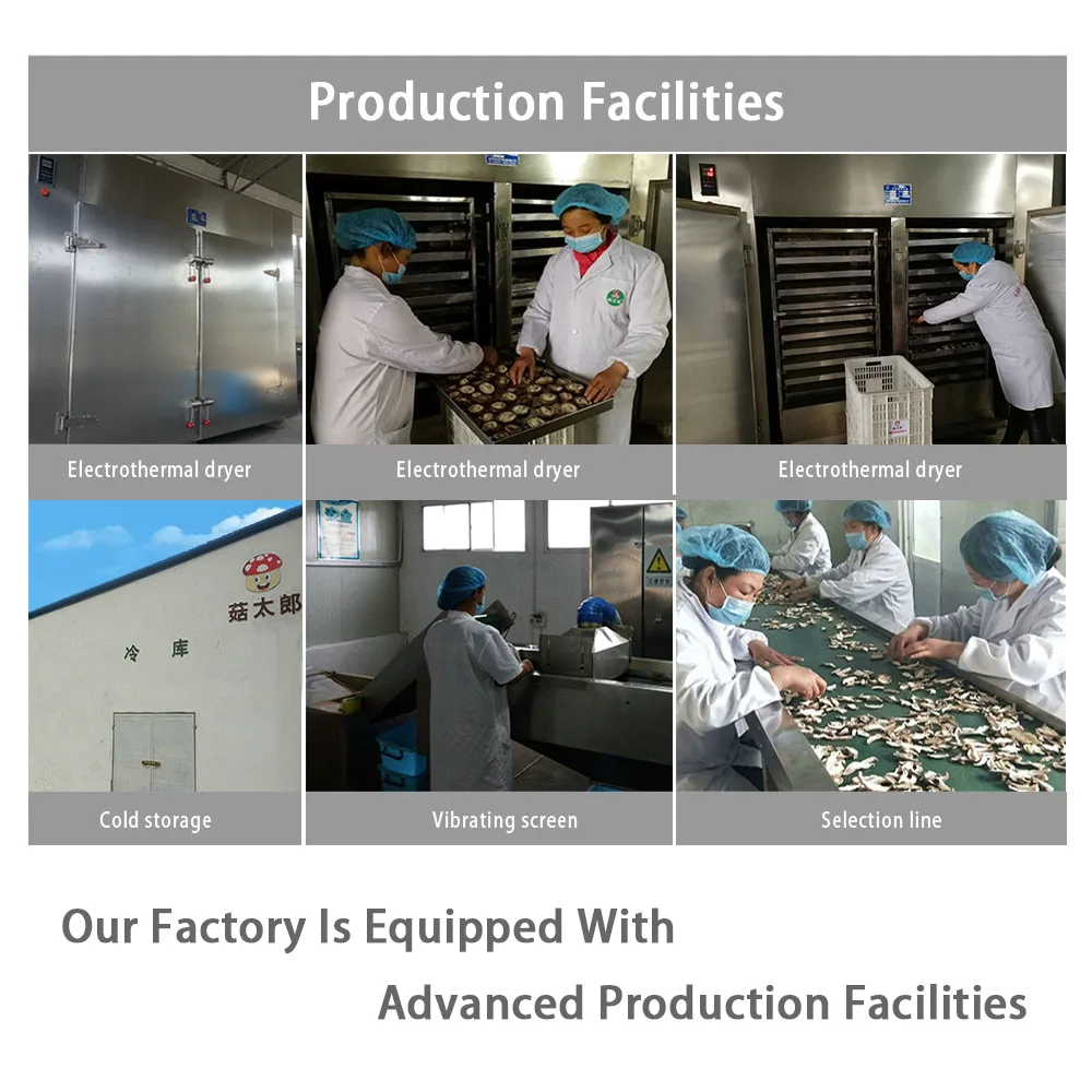 
Selected Dried Shredded Mushroom ( 2mm )Perennial export export licensing companies can be their own inspection 