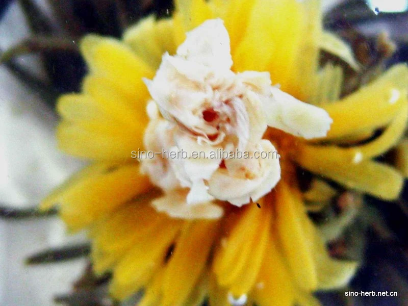 Бесплатный образец художественного китайского цветущего чая ручной работы 100%