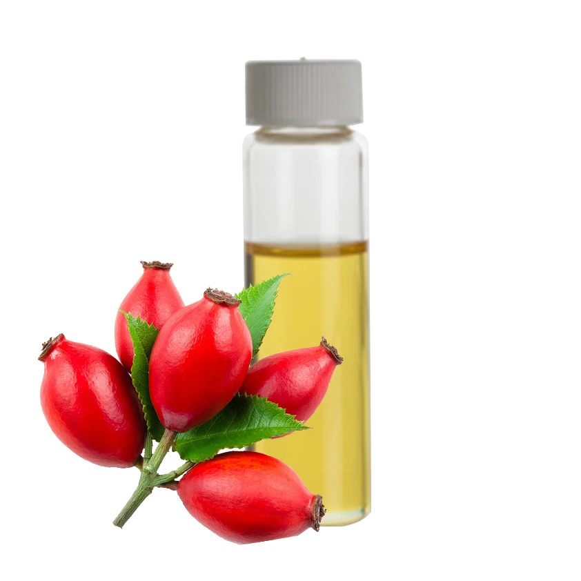 
Bulgaria high qualthy healthy organic nature fragrance vitamin c rosehip essential oil 