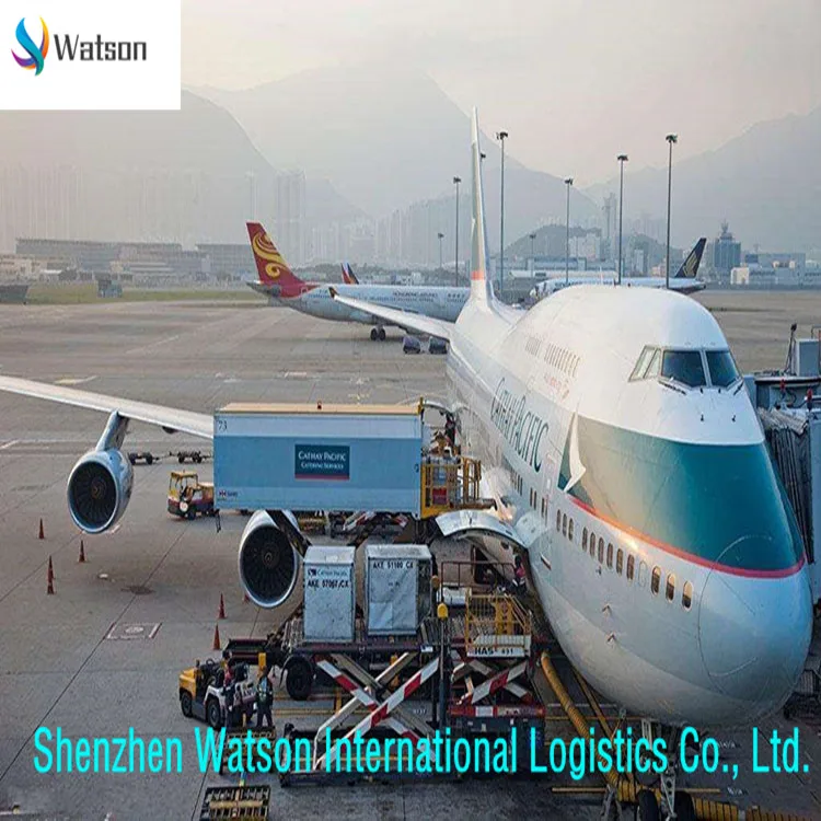 
China to Italy/France/UK/Spain/Germany/European Amazon FBA DDP Transportation Service 