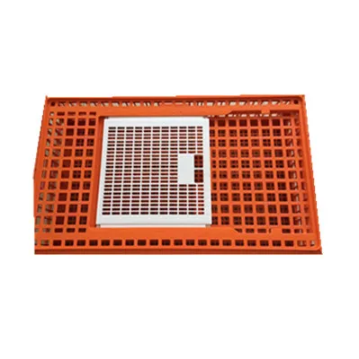 big orange poultry chicken transport egg crate plastic handles corrugated boxes