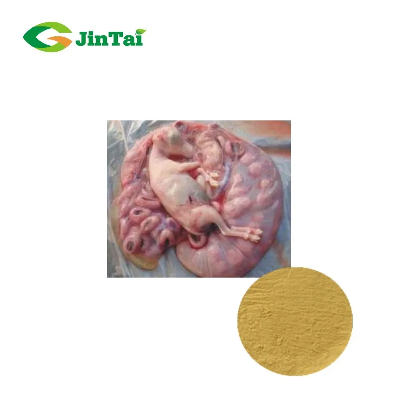 Newest Freeze Dried Sheep Embryo Powder