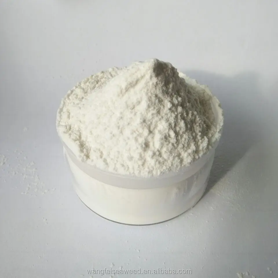 
sodium alginate casting 