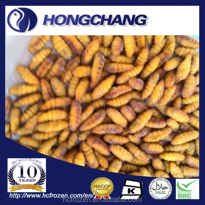 
Frozen IQF silkworm 
