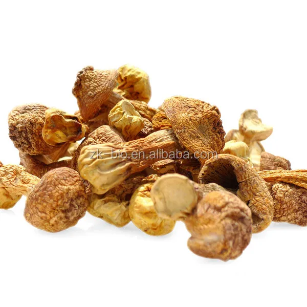 
Organic Agaricus Blazei Murill Mushroom Extract 