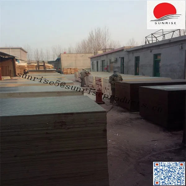 SUNPLY film faced plywood 1220 x 2440 mm