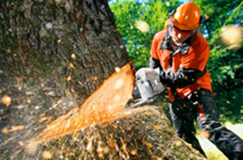 manufacturer concrete cutting gas powered 52cc  chain 18 wood chain saw