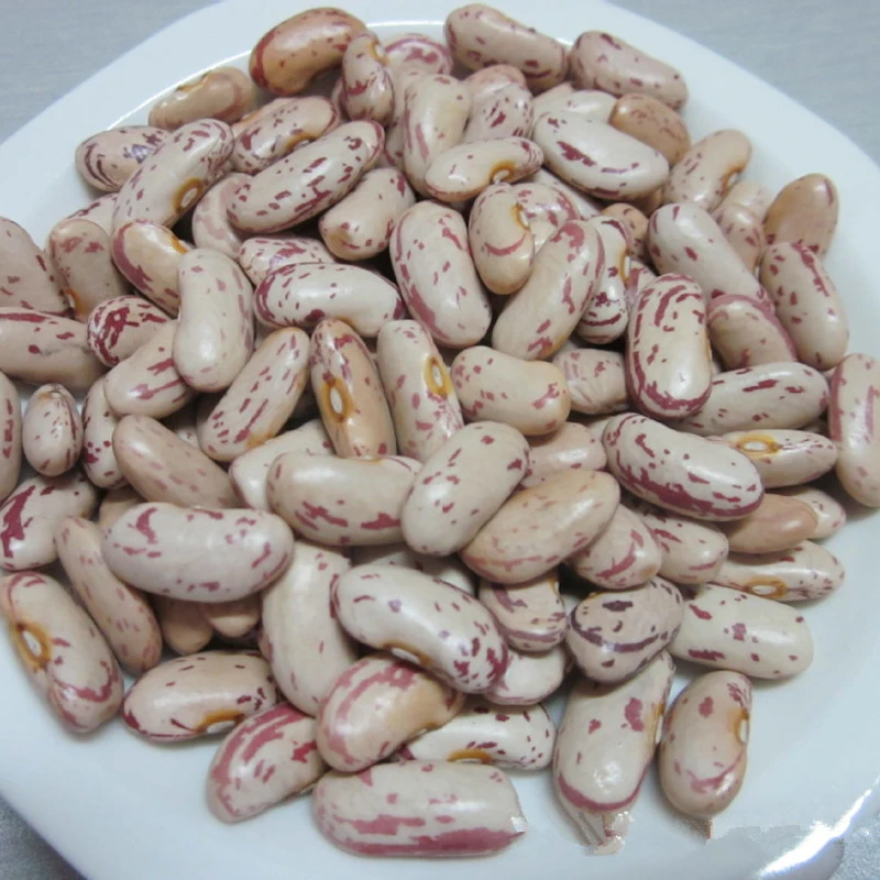 Легкая зернистая фасоль pinto beans