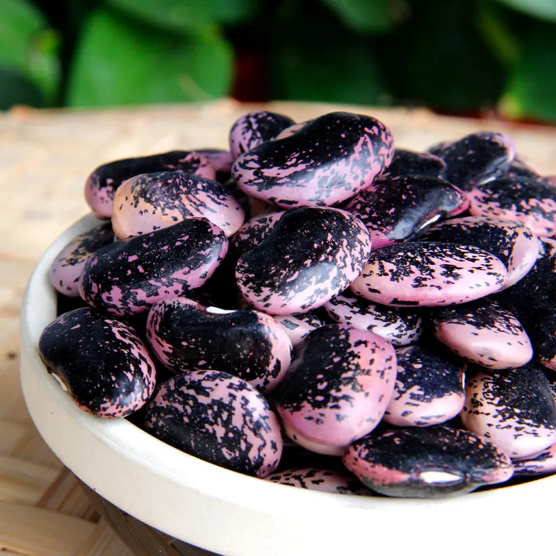 Organic large black speckled kidney bean for sale