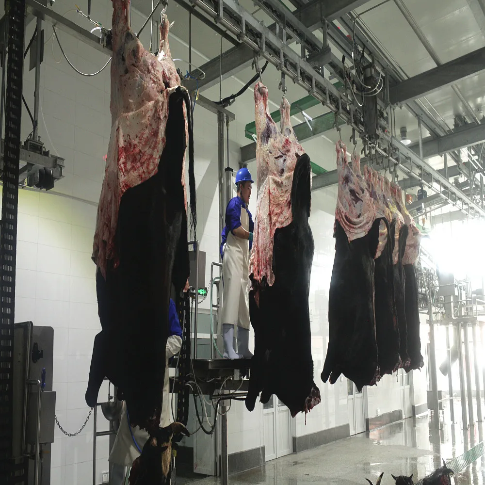 Cow Slaughter Line for Halal Meat Plant Sheep Slaughterhouse Mobile Cattle Process Machine
