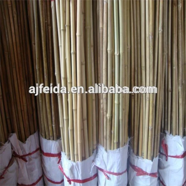 Garden Dried Bamboo Cane Bamboo Stick Bamboo Pole for Planting