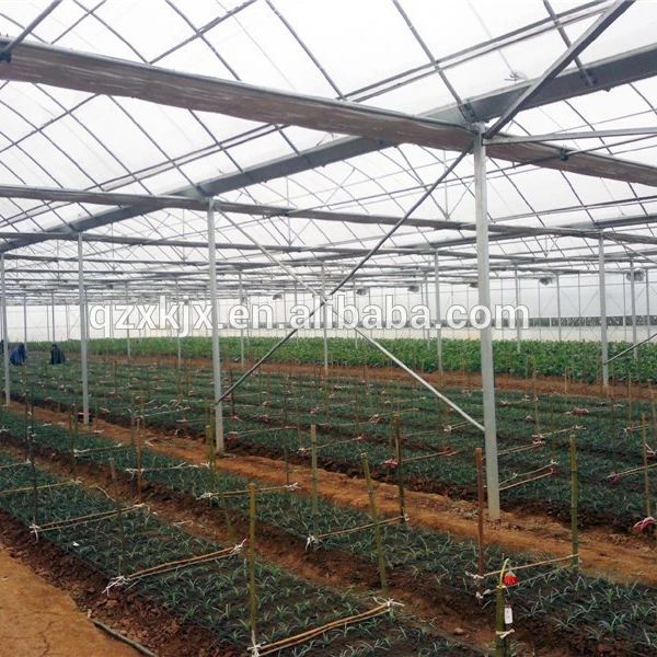 2021 new product green house plastic film greenhouse agricultural greenhouse