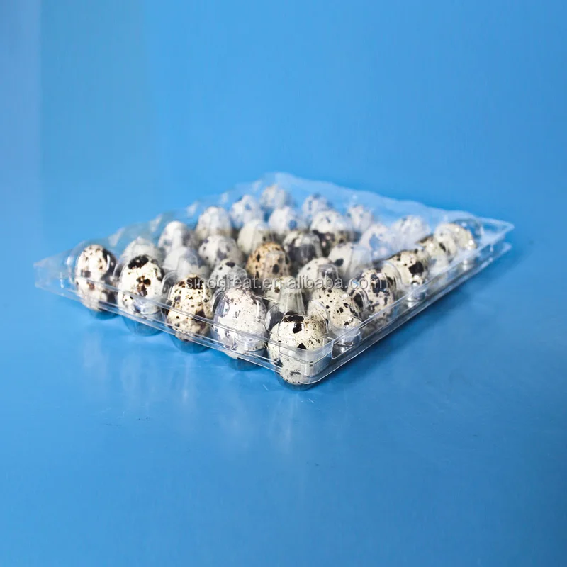 Plastic Quail Egg Packaging plastic disposable egg packing tray