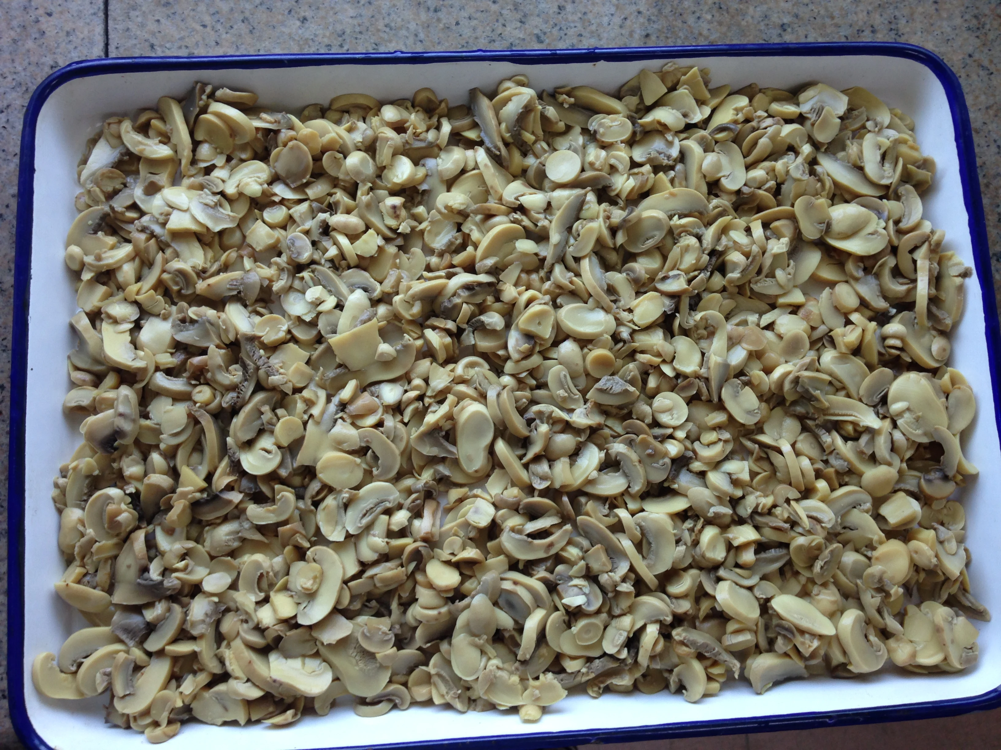 
Canned oyster mushroom 425G for Turkey Market 