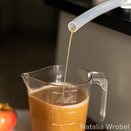 Новинка, Ручной пресс для приготовления сыра, соковыжималка, соковыжималка, пресс для приготовления сыра, 4,7 л