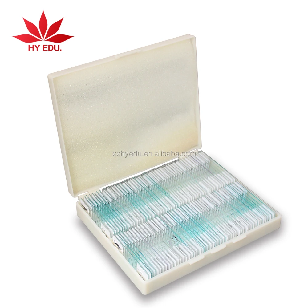 Education supplies  mixed 100 pcs botany and zoology set microscope slides specimen educational training kit