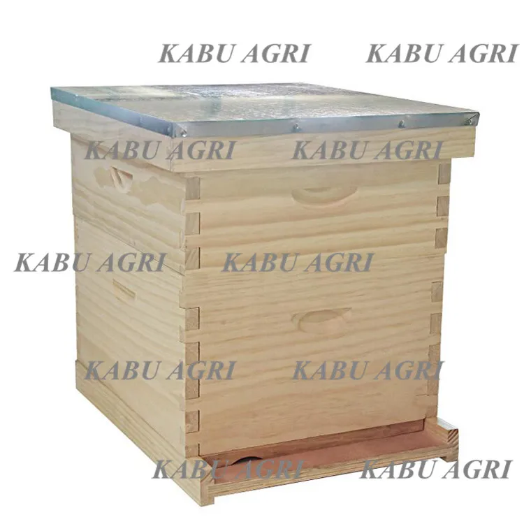 10 Frame langstroth beehive beginner kit