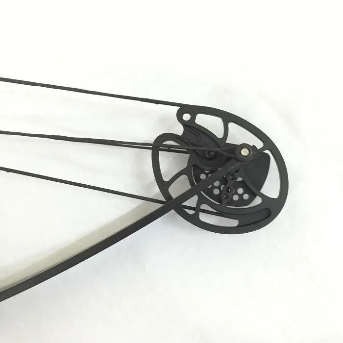 M183 outdoor shooting archery wholesale compound bow for hunting