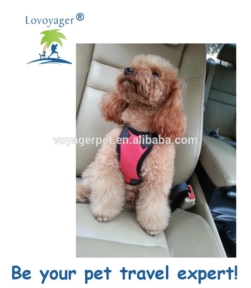 Hot Adjustable Multifunctional Vehicle Safety Use Safety Dog Seat Belt