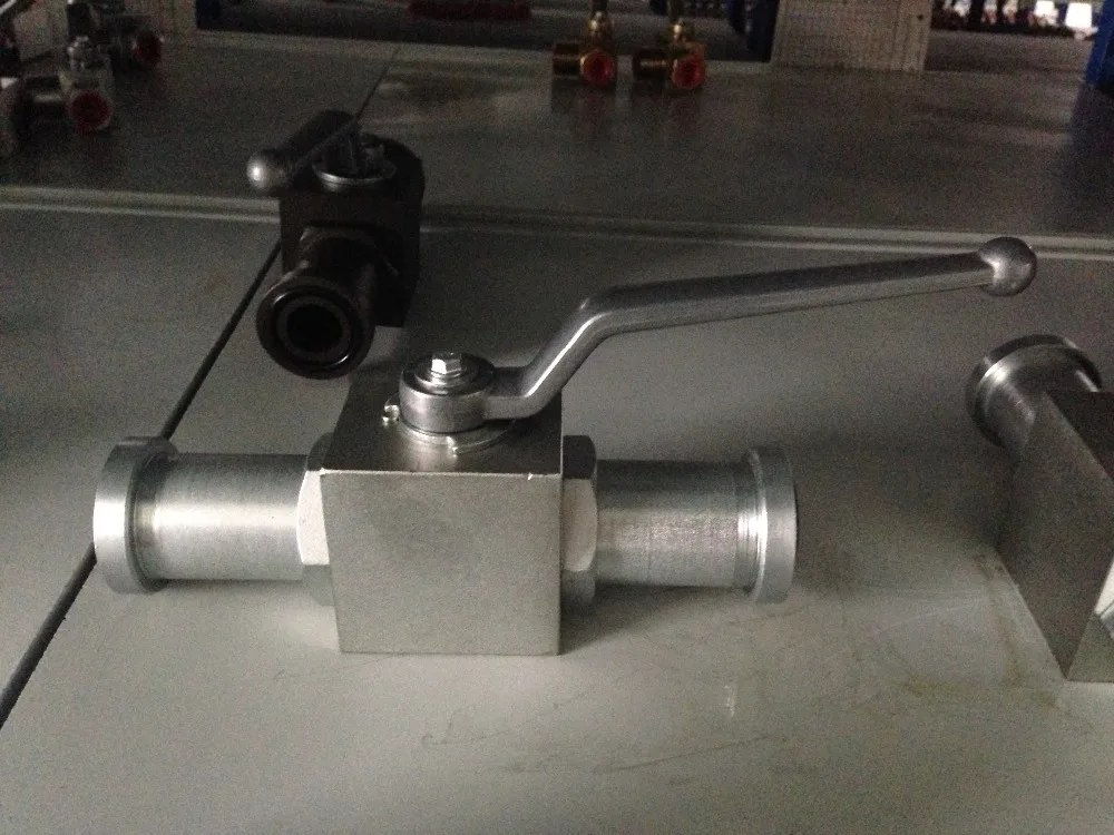 HRPC Straight Type Threaded Hydraulic Check Valve Oil Liquid Industry Standard Stainless Steel Carbon Steel NPT DIF OEM 31.5mpa