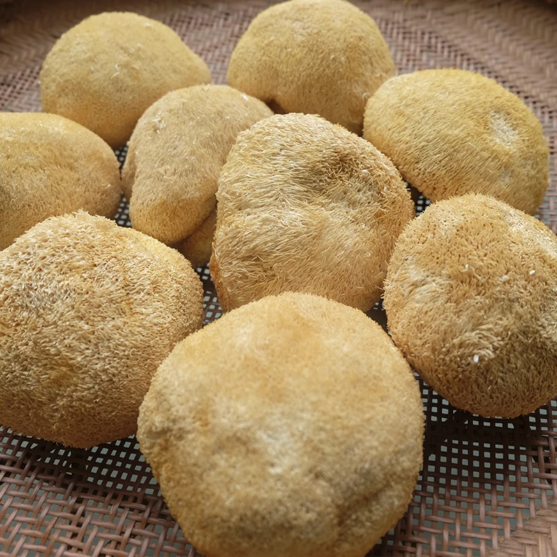 
Detan price of 1kg fresh lions mane mushroom 