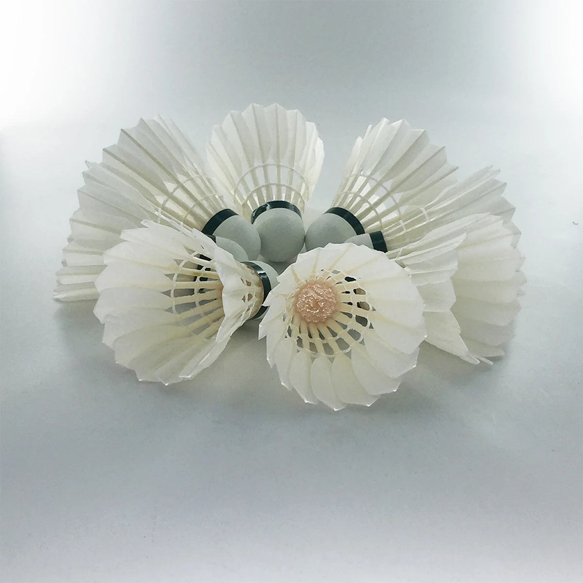 12pcs Class B Goose FeaNew badminton shuttlecock china,badminton shuttlecock sale