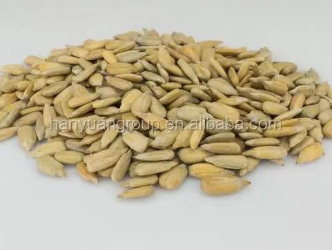 High Quality stainless steel melon seeds Roaster/ melon seeds Roasting Machine