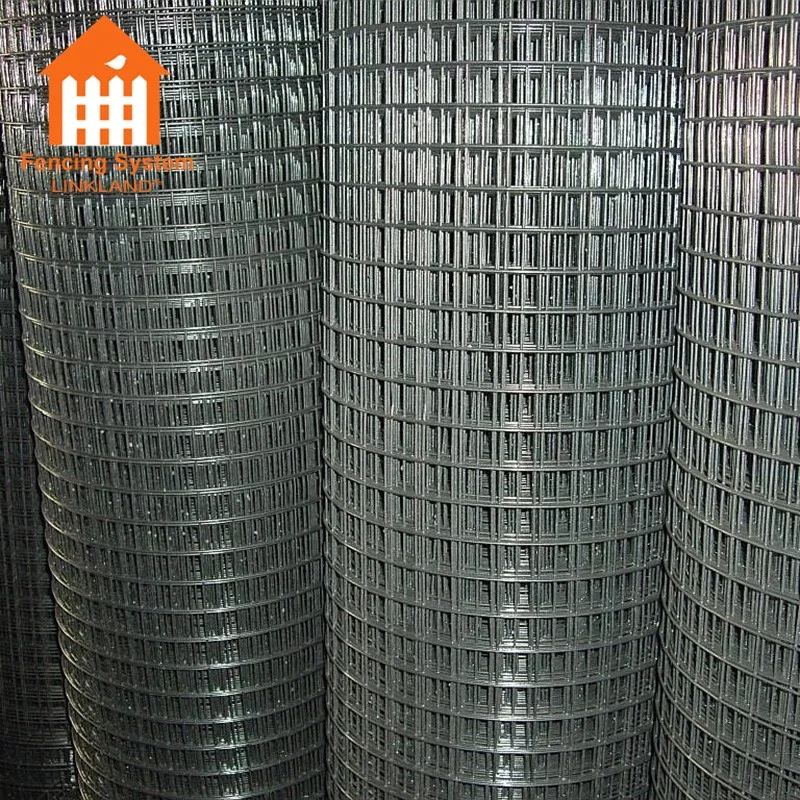 Stainless Steel Bird Cage Welded Wire Mesh Roll