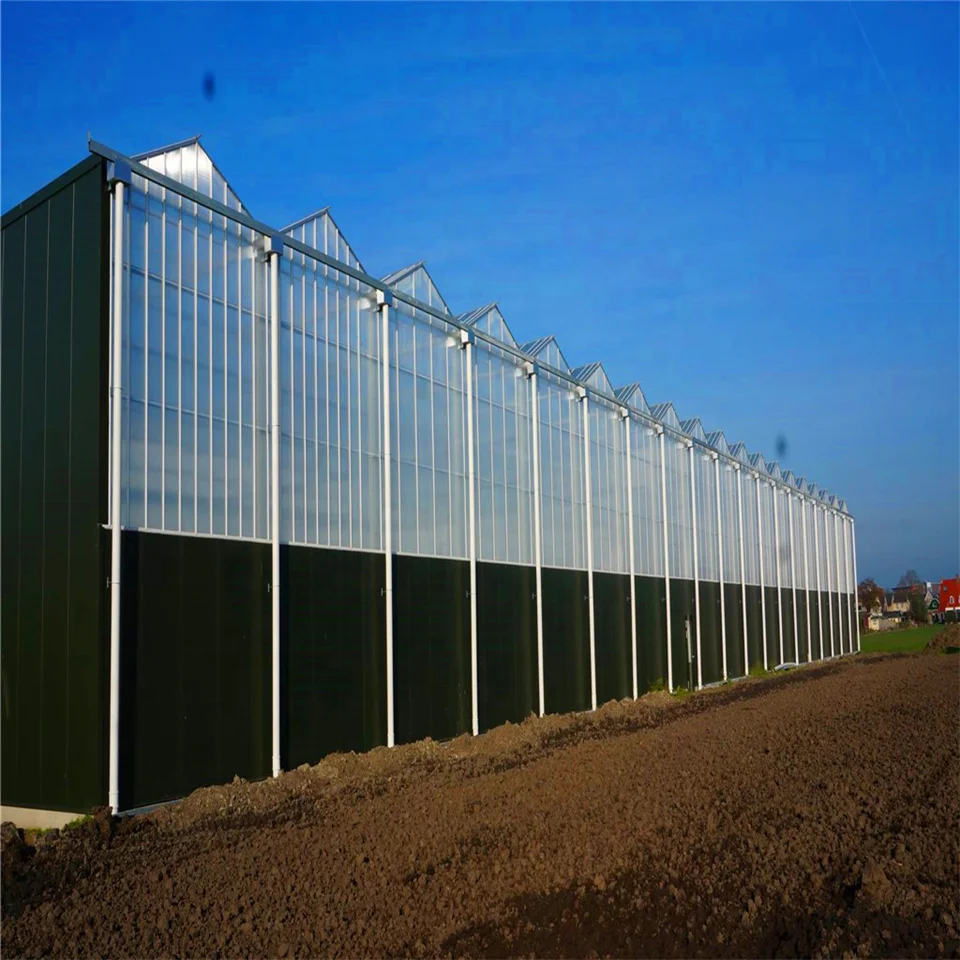 
acclimation greenhouse climate control farming commercial hydroponic system vertical 