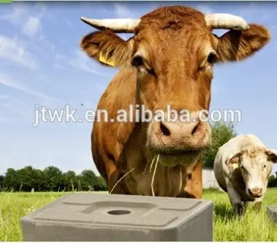 
2kg,3kg,4kg,5kg,10kg,20kg cow,horse,sheep,camel,ruminant lick mineral feeding salt block Hydraulic press machine 