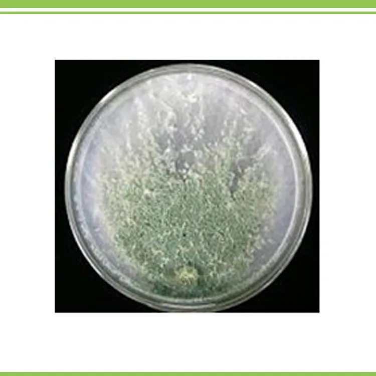 patent technical biological bactericide insectcide fungicide microbial inoculant