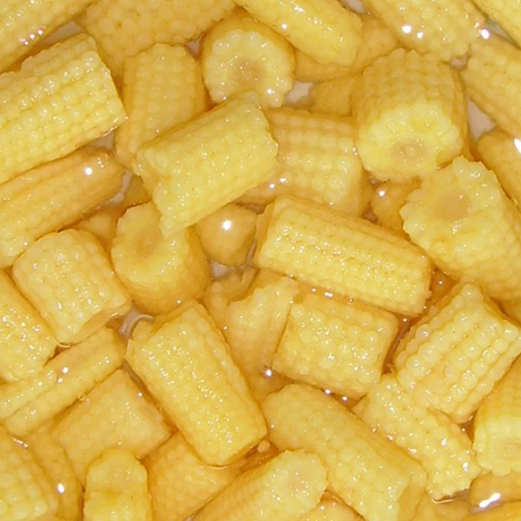 Price Canned Baby Corn in Brine Cheap Price of Fresh Canned Baby Corn