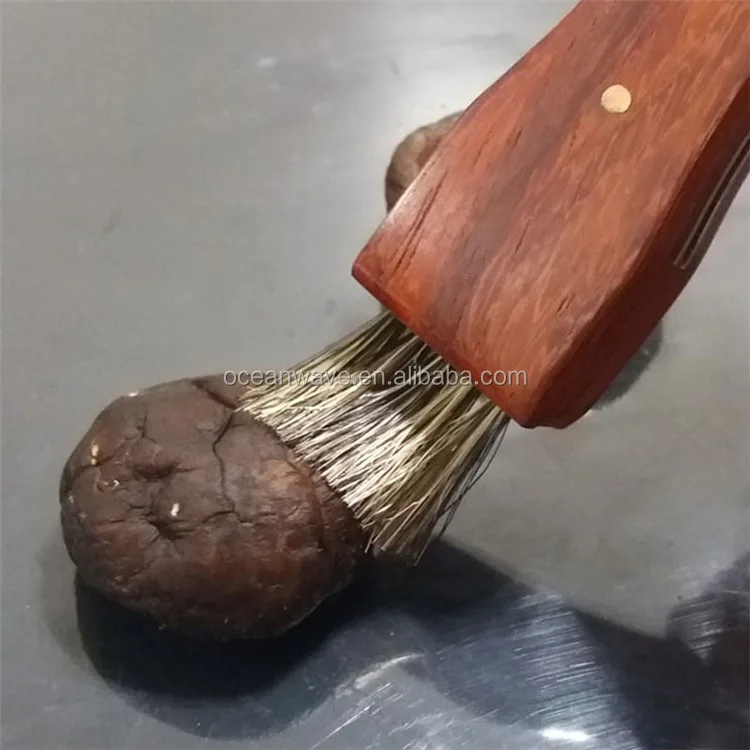 Multi Wood Handle Mushroom Knife With Brush