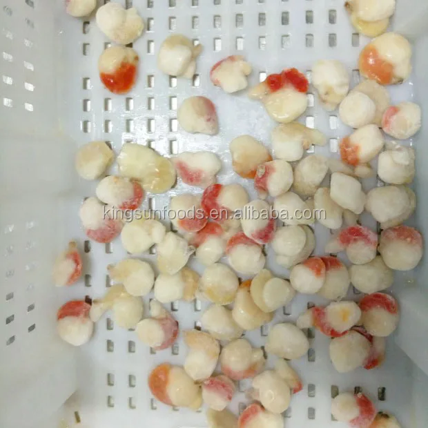 6-8cm Half Shell FARRERI SCALLOP with Roe