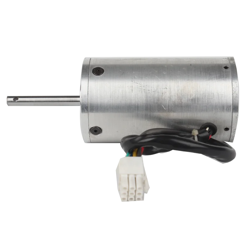 12v / 24v electrical dc motor bldc brushless motor with customized power