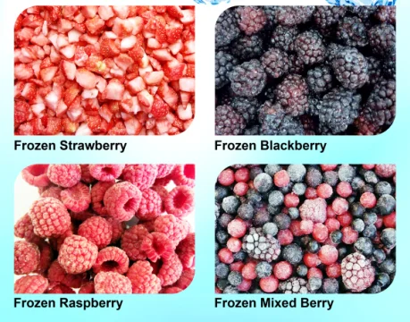 
Blackberry Frozen Fruit/IQF 