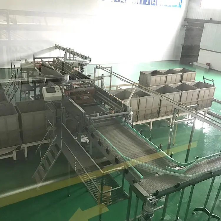 24h reply hot selling automatic basket loading machine