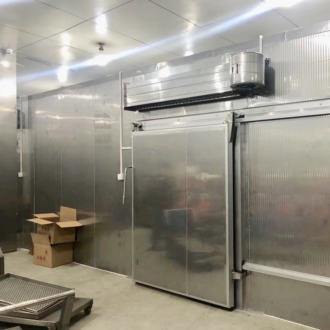 Cold storage Cold room sliding door with PU insulation and smooth sliding system