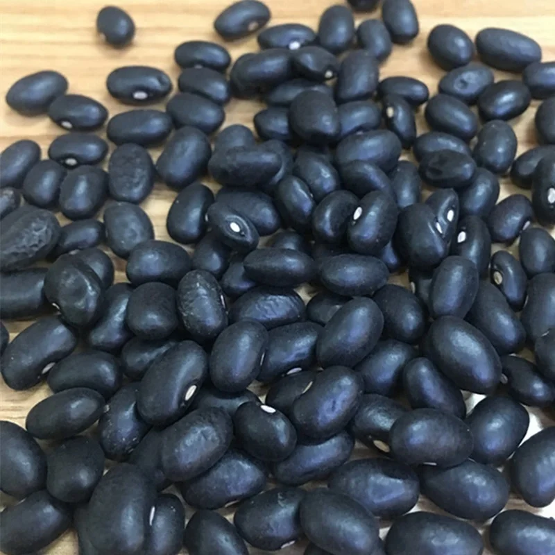 Wholesale commercial Dried Black bean and black kidney price for export