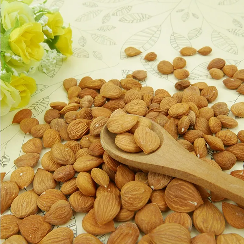 Хэбэй происхождения абрикосовых косточек для продажи